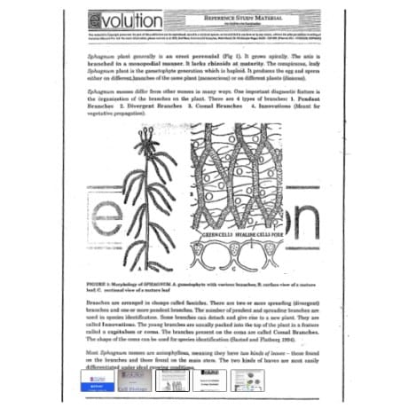 Evolution Botany Optional Notes