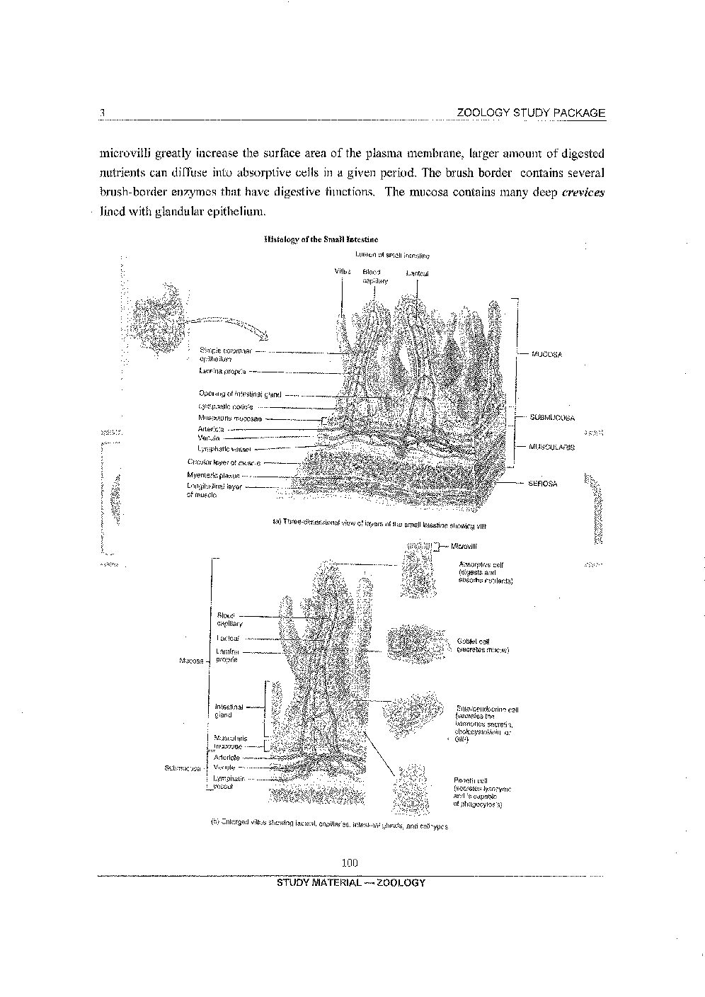 UPSC Zoology Optional Notes 2026-27 | 16 Booklets Set | Upsc Ready - Image 2