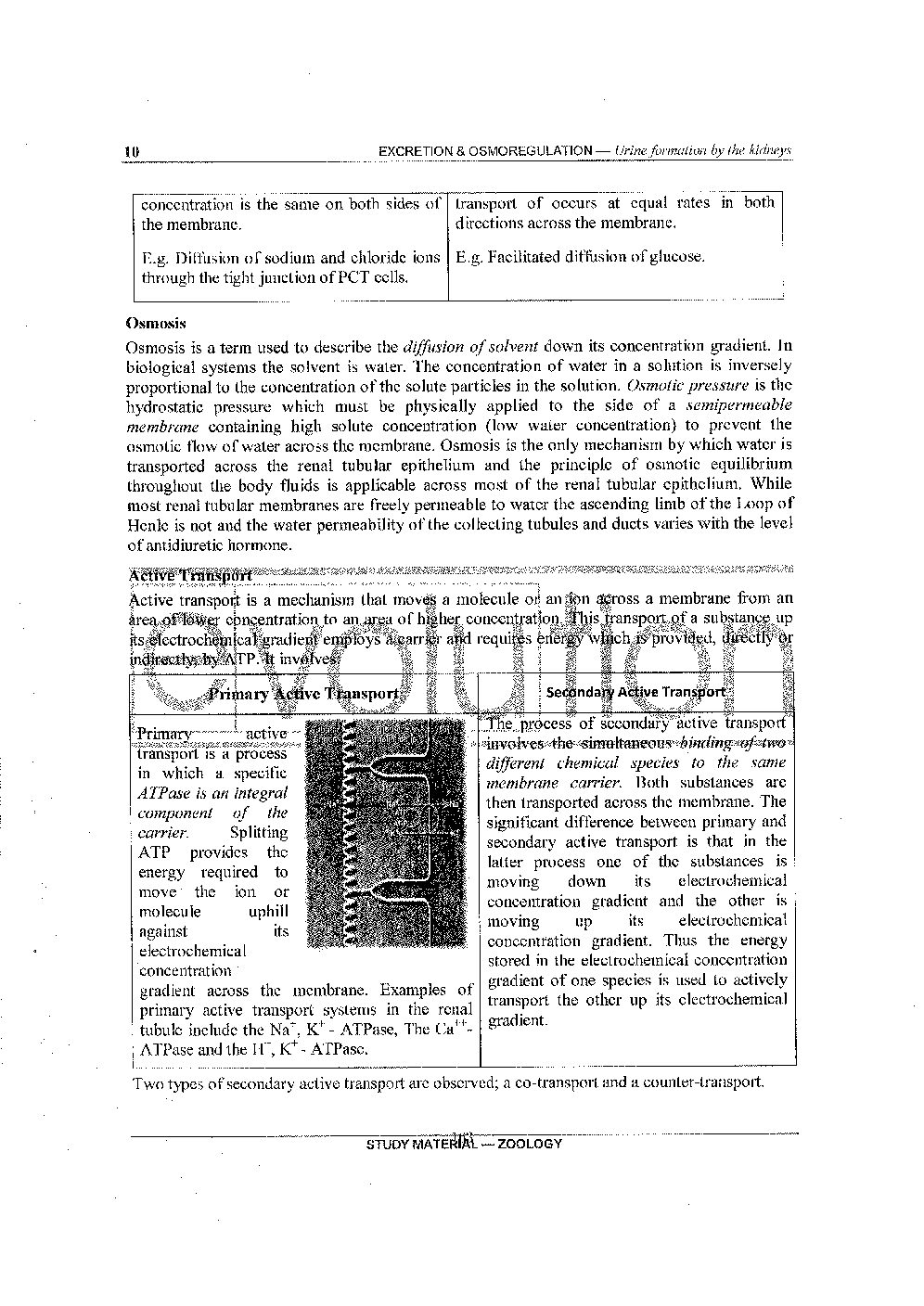 UPSC Zoology Optional Notes 2026-27 | 16 Booklets Set | Upsc Ready - Image 5